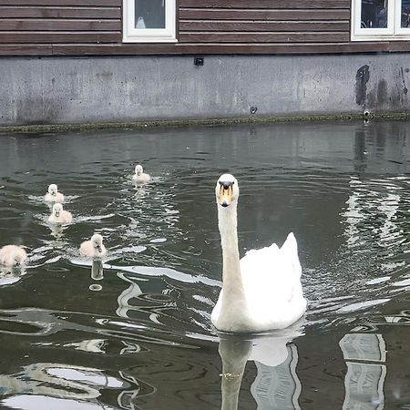Lovely Canal Boat In Little Venice For Family & Friends London Exteriör bild