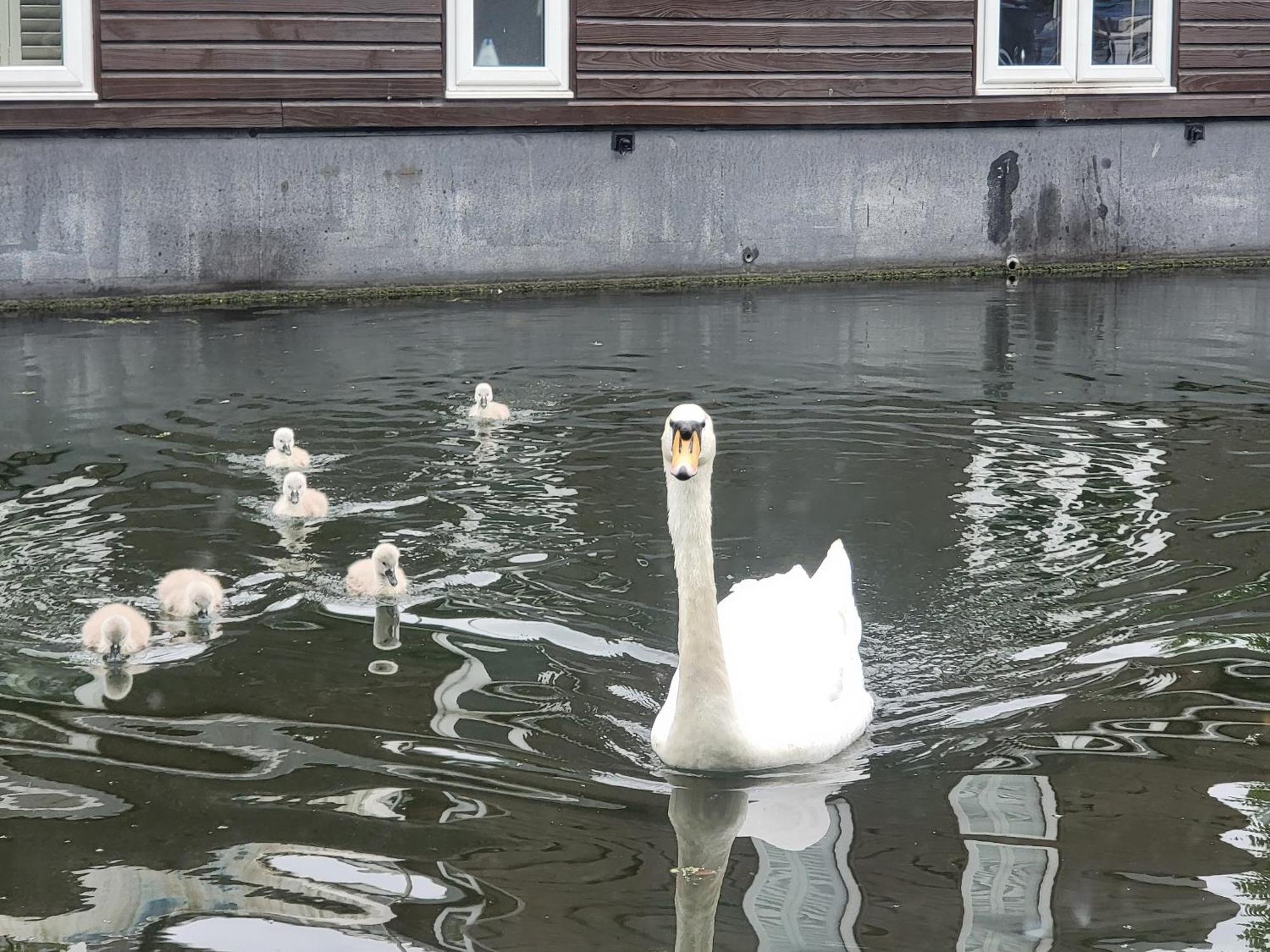 Lovely Canal Boat In Little Venice For Family & Friends London Exteriör bild